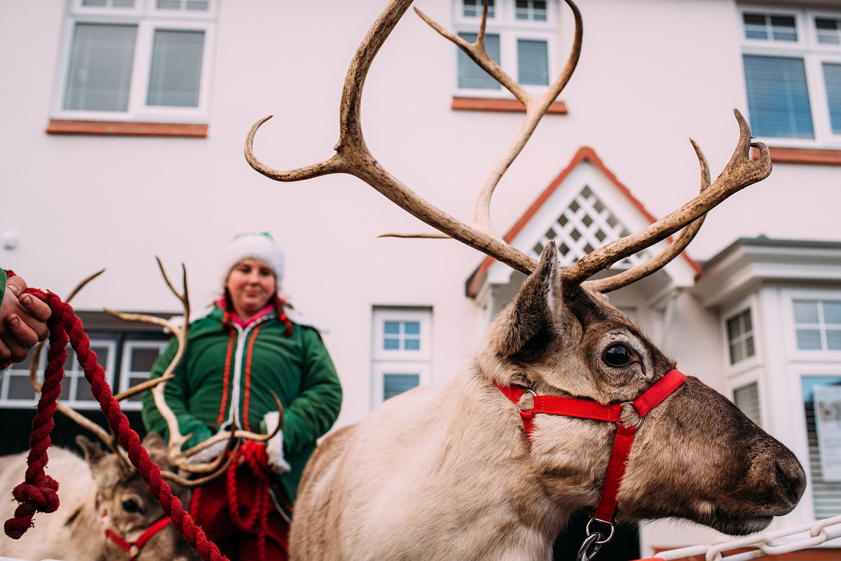 Festive Treats for Simple Life Residents