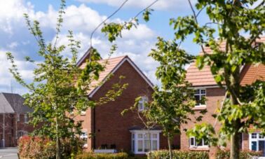 dutton fields-street-scene-homes