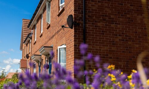 dutton fields-street-scene-homes
