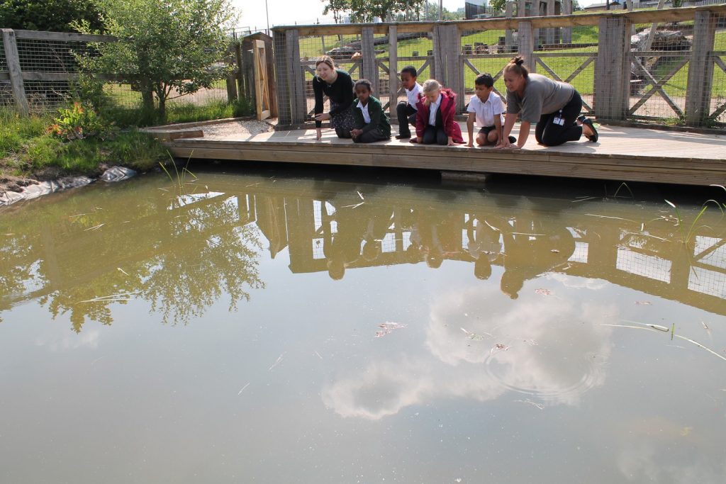 Children looking in the pond