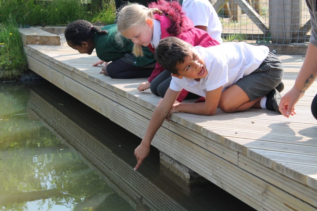 Child pointing in the pond