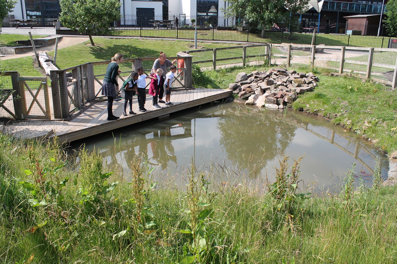 Children looking in the pond