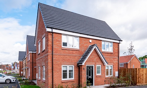 winster external shot
