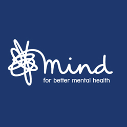 Large Charity Logo MIND