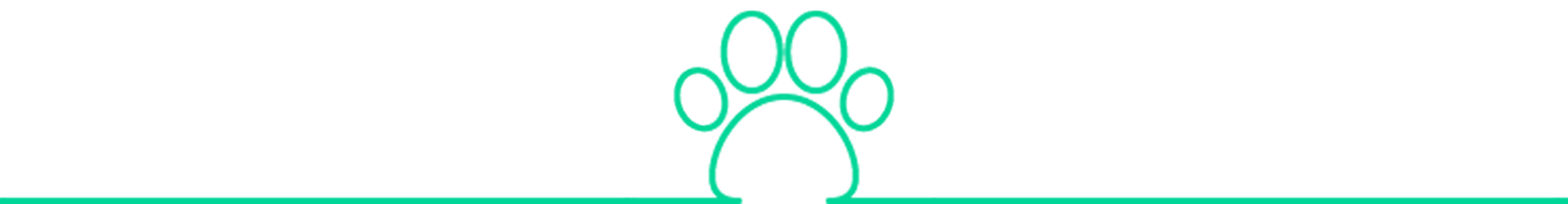 tab icon