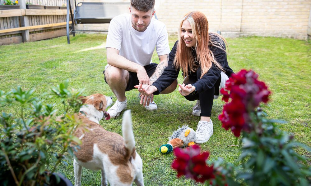 couple with dog