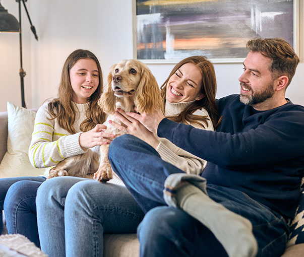 Dog living in new build family rental home