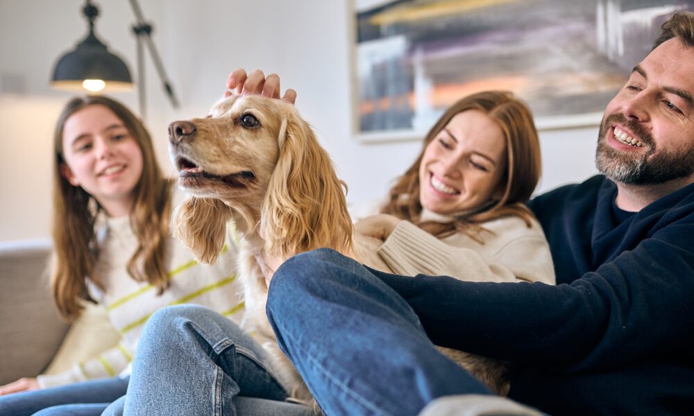 Simple Life launches first ever build-to-rent TV advert in the UK