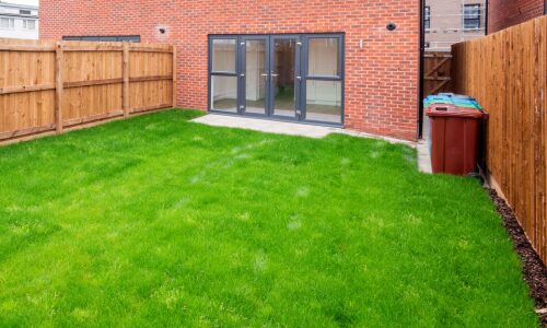 back garden