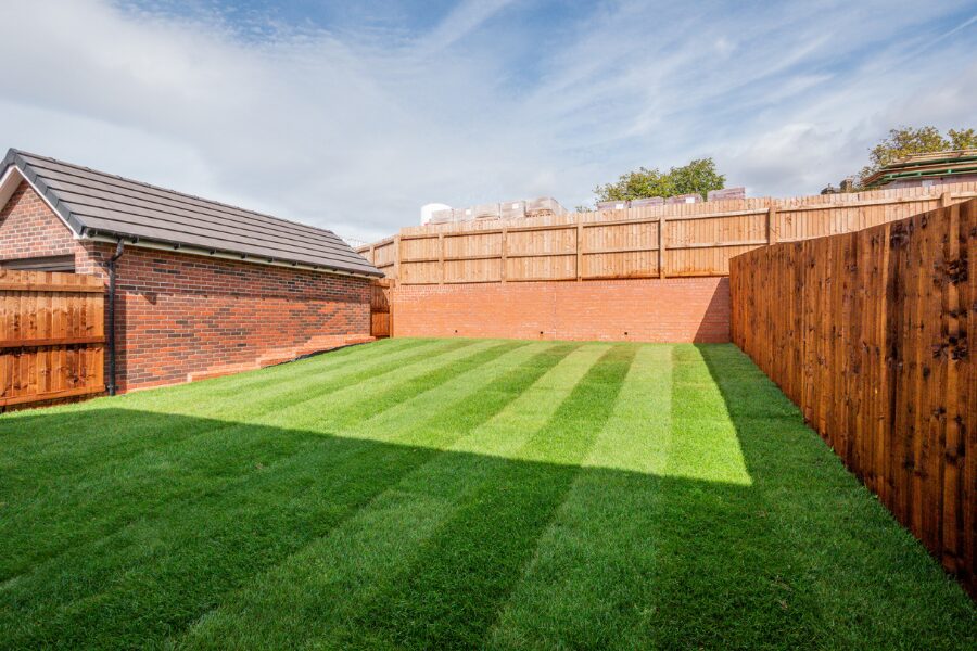 Sparrow Garden