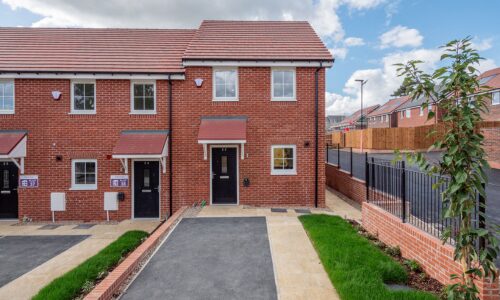 darland featured image