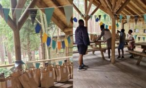 Simple Life Bunting at Go Ape Sherwood Pines 