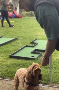 dog enjoying a treat