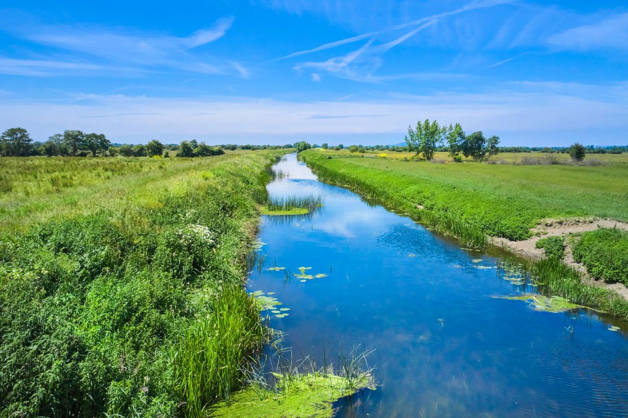 Wildflower meadow and waterway restored as part of Simple Life Homes' GreenTheUK partnership