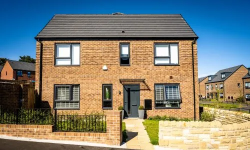 basswood external