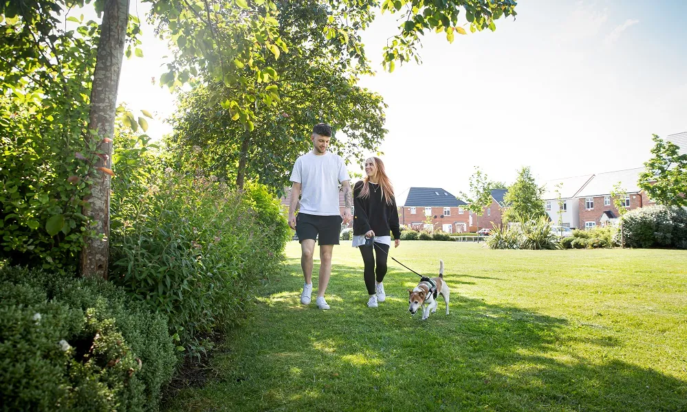 Couple walking dog
