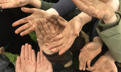 hands after biodiversity project