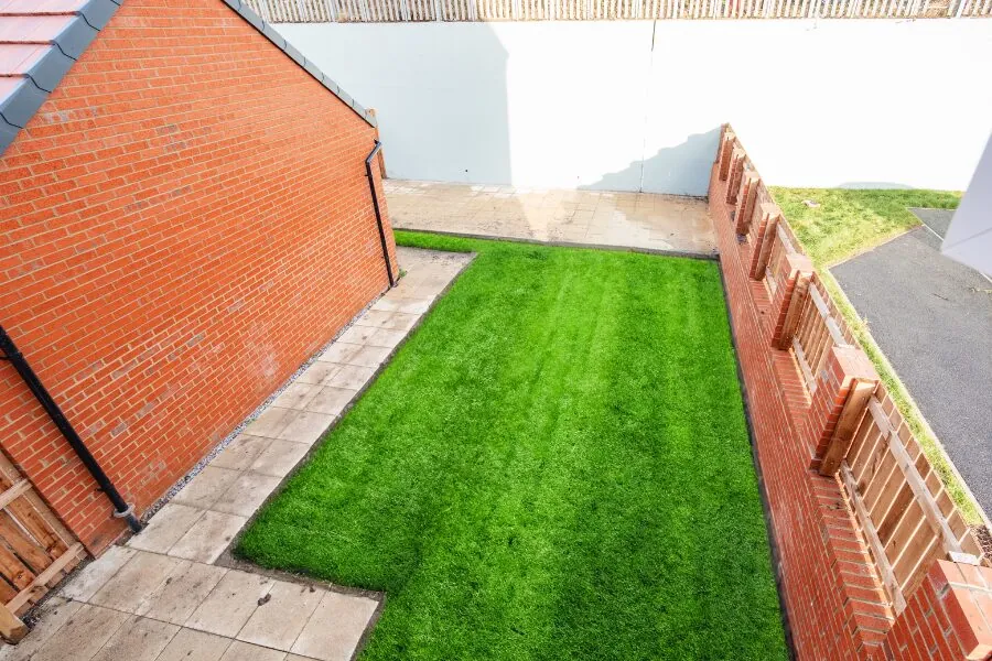 Dalton Birdseye Garden