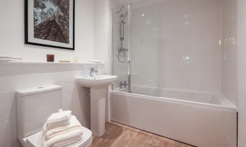 lossie-bathroom