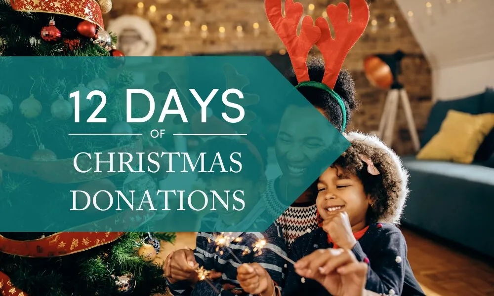 12 days of xmas