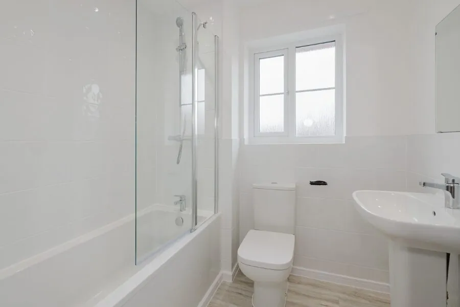 cork bathroom