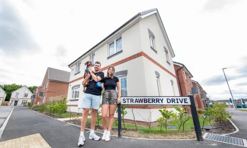 strawberry grange cribs
